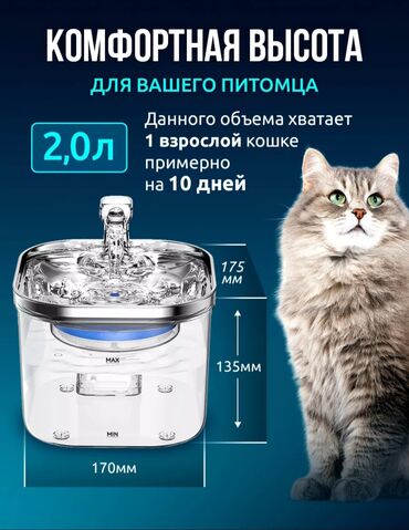 gps трекер для животных: Автоматический поильник для ваших домашних питомцев котят кошек. с