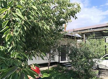 🏠 ПРОДАЁТСЯ ДОМ — СРОЧНО! 📍 Ориентир: Магистраль / ул. Алыкулова