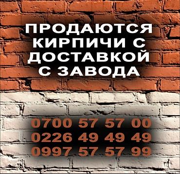 петухи даканы: Пустотелый, дырчатый, Жженый кирпич, Полублок, 250×120×90 — 3
