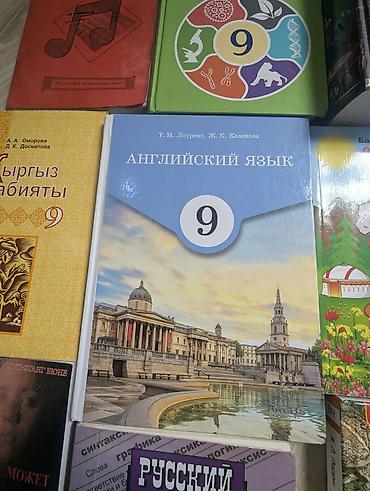 боты: Набор учебников и книг, преимущественно для 9 класса. В комплект — 10