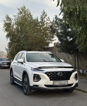 полик для авто: Hyundai Santa Fe: 2019 г., 2.2 л, Автомат, Дизель