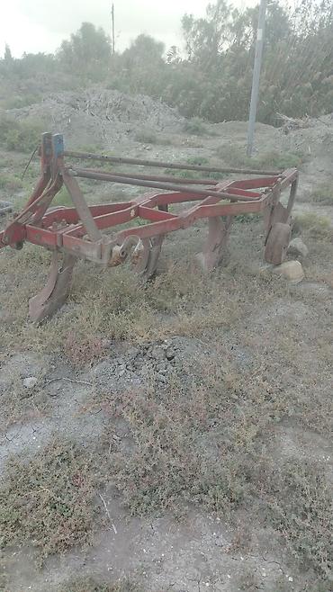 kotanlar traktor: 12 lik unvan səlyan — 1