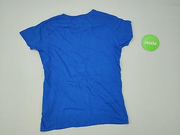 stedman st2100: Cedar Wood State, T-shirt damski, rozmiar M — 3