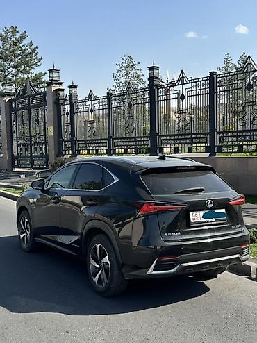 диспы: Lexus NX: 2019 г., Автомат, Гибрид, Кроссовер — 2