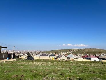 hökmeli evler: 5 sot, Kənd təsərrüfatı — 2