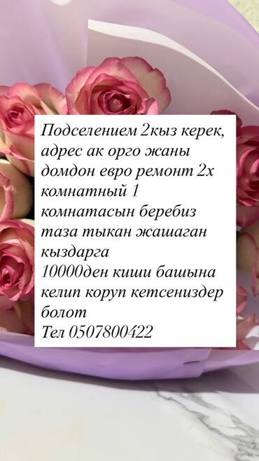 аренда дома на иссык куле: 45 кв. м