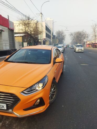 нюндай соната: Hyundai Sonata: 2018 г., 2 л, Типтроник, Газ, Седан