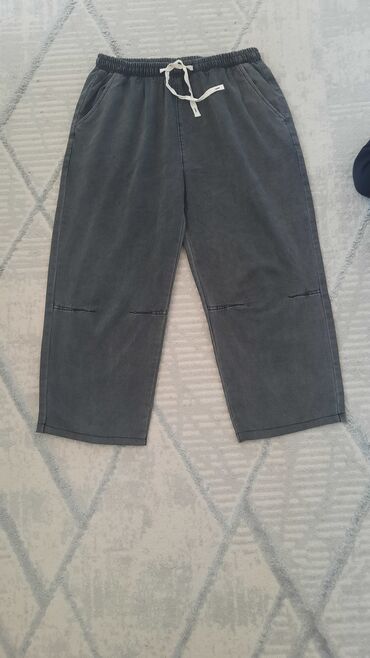 пиджак с брюками: Брюки 3XL (EU 46)