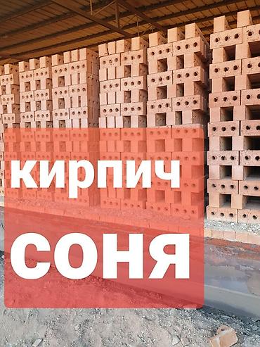 Строительный кирпич: Пустотелый, дырчатый, Жженый кирпич, Полублок, 250×120×85 — 1