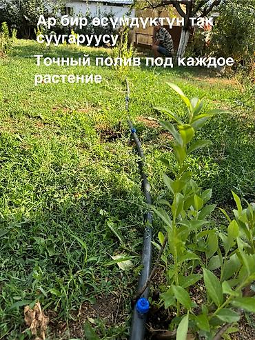 Установка другой техники: 🚨 УСТАЛИ ТАСКАТЬ ВЕДРА? 💧 КАПЕЛЬНЫЙ ПОЛИВ "ПОД КЛЮЧ" — ЗАБУДЬТЕ О — 7