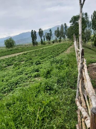 Продажа домов: Дом, 1111111 м², 5 комнат, Собственник — 6