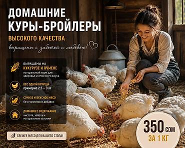 кукуруа: 🐔 Домашний бройлер — напрямую от хозяйства Хотите купить свежую — 1