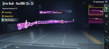 Digər: PUBG Mobile oyun hesabı – kosmetik və laboratoriya səviyyəli kontentlə — 5