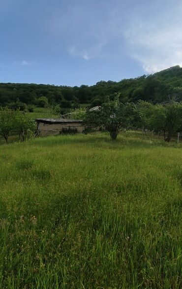 Torpaq sahələrinin satışı: 13 sot, Tikinti, Mülkiyyətçi, Kupça (Çıxarış) — 5