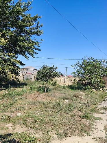 güvən əmlak mingəçevir: Balaxanı qəs. 5 otaqlı, 4 kv. m, Kredit yoxdur, Yeni təmirli — 3
