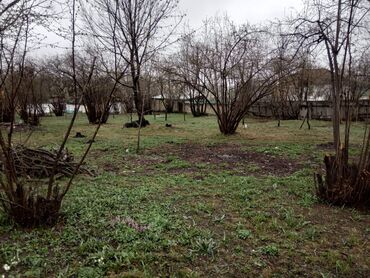 xacmazda heyet evi satilir: 17 соток, Собственник, Бялядия (муниципалитет)