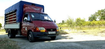 tovuz quşu yumurtası v Azərbaycan | Quşlar: Ford Transit: 2.5 l. | 1999 il | 680000 km. | Universal
