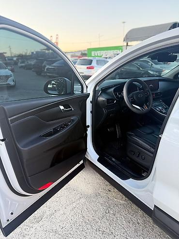 Hyundai: Hyundai Santa Fe: 2020 г., Кроссовер — 13