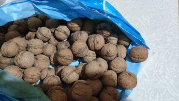 шоколад весовой оптом: Грецкие орехи в скорлупе - Натуральные, целые орехи в прочной