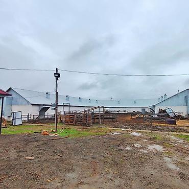 İcarəyə binalar: Ferma və təsərrüfat kompleksi 📍Ünvan : Ağsu rayonu • Sahə : 85 sot • — 21