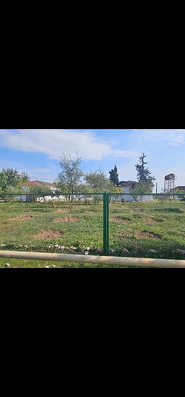 samaxi: 800 sot, Kənd təsərrüfatı, Mülkiyyətçi, Kupça (Çıxarış) — 5