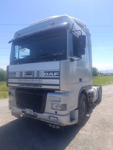 дробилка трава: Тягач, DAF, 2000 г., Без прицепа