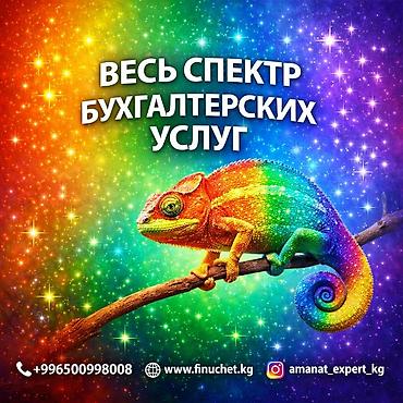 checkit kg: Бухгалтерские услуги | Подготовка налоговой отчетности, Сдача налоговой отчетности, Регистрация юридических лиц — 1