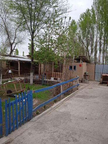 Продажа домов: Дом, 75 м², 4 комнаты, Собственник, Косметический ремонт — 10