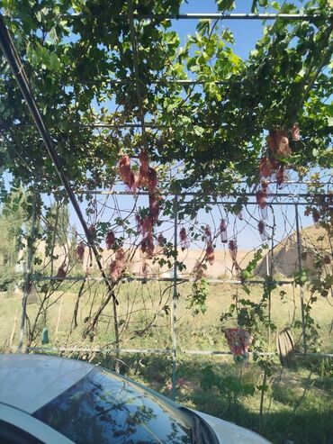 Продажа участков: 300 соток, Для сельского хозяйства, Красная книга — 2