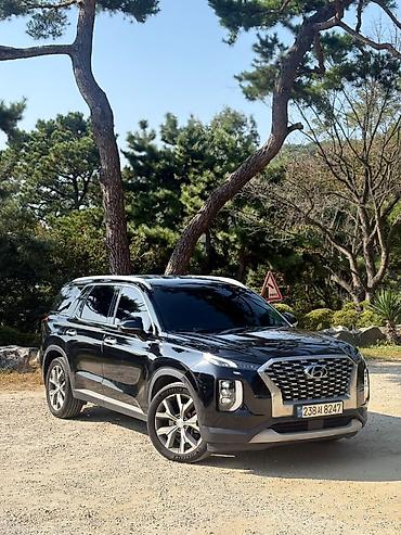 lx 570 2020: Hyundai Palisade: 2021 г. — 1