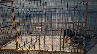 Вольер для собаки из металлического профиля - Просторная конструкция