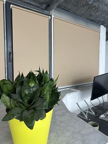 Жалюзи и рольшторы: Рулонные шторы на окна - Изготовление под размер: для пластиковых — 1