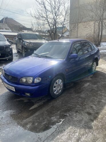 runx alex: Toyota Corolla: 2000 г., 1.6 л, Механика, Бензин, Хетчбек