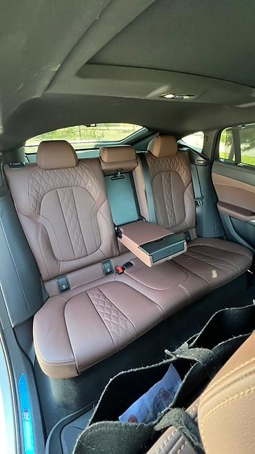 BMW: BMW X6: 2023 г., 3 л, Типтроник, Бензин, Кроссовер — 10