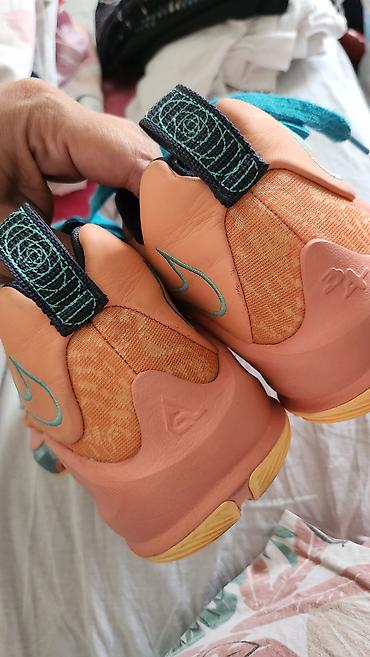 cari: Nike Zoom Freak 3 “Stay Freaky” patike za košarku,42 br 26.5 ug - — 5
