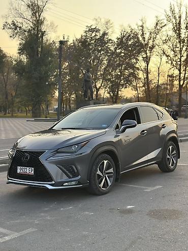 lexus js: Lexus NX: 2020 г., 2 л, Автомат, Бензин, Кроссовер — 2