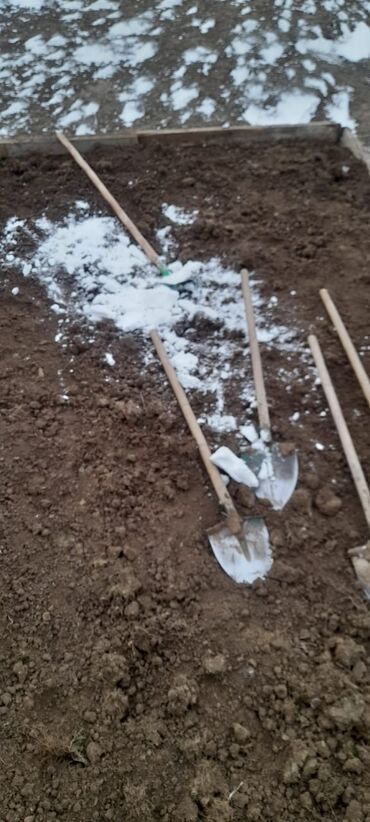 Bağ və bostan üçün digər məhsullar: Torf250litrlik torf perlitli torf20litrlik torf balaken peyin viol — 19