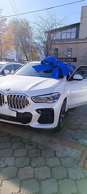 Декоративные ленты и банты: 🎀 Бантики на машину 1000/1500 аренда на сутки — 11