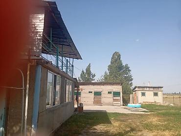 Продажа коттеджей и домов: Продается двухэтажная Дача с приусадебным участком. Дача находится в — 14