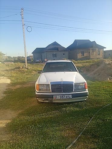 тандем мерс: Mercedes-Benz W124: 1991 г., 3 л, Механика, Дизель, Универсал — 1