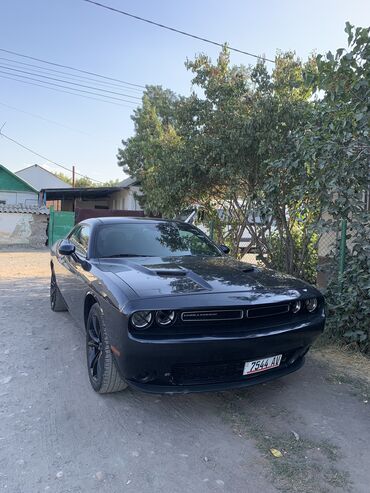 Dodge: Dodge Challenger: 2019 г., 3.6 л, Автомат, Бензин, Купе — 8