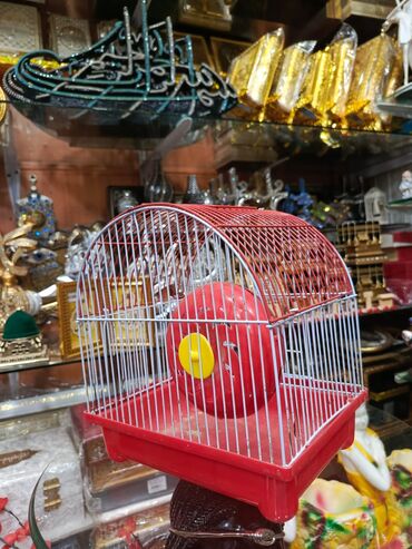 Yemlər: Quş yemləri 1-azn Qırmızı darı topdan 1azn Pərakəndə 1,50azn 1-kq — 26