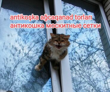 Xalçalar: İstənilən növ ağcaqanad torları, sadə pəncərə torları, ANTİKOT
