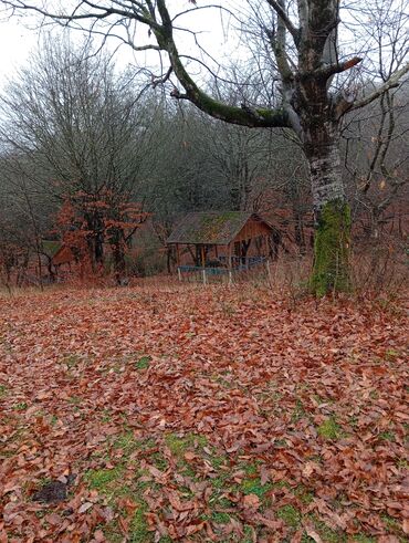 Restoran, kafelər: Masalli İsti su yaxin. 3 hektar ərazi 7 katej 6 bisetka. Tam islek -da lalafo.az — 14 Restoran, kafelər: Masalli İsti su yaxin. 3 hektar ərazi 7 katej 6 bisetka. Tam islek — 14