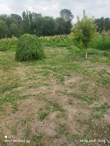 дом без хозяина сниму: Сниму коммерческую недвижимость