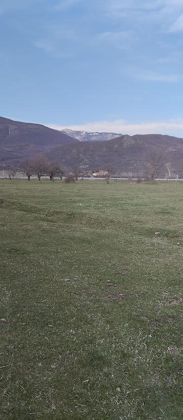 Torpaq sahələrinin satışı: Kənd təsərrüfatı — 21