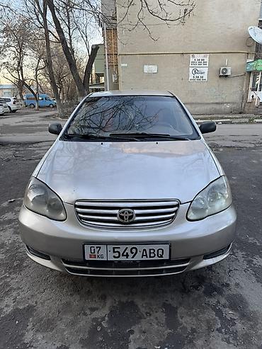 Toyota: Toyota Corolla: 2002 г., 1.8 л, Автомат, Бензин, Седан — 6