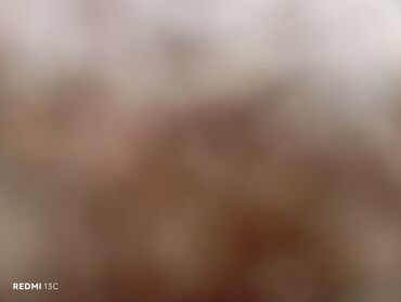 элитные ковры: Килем