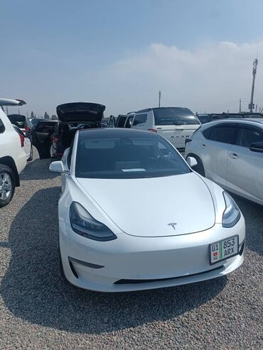 мтз лизинг: Tesla : 2019 г., 10 л, Вариатор, Электромобиль, Хэтчбэк