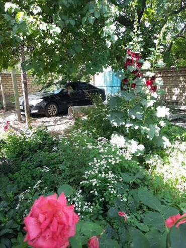 Продажа домов: Дом, 73 м², 5 комнат, Собственник, Косметический ремонт at lalafo.kg — 7 Продажа домов: Дом, 73 м², 5 комнат, Собственник, Косметический ремонт — 7